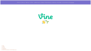 vine.co