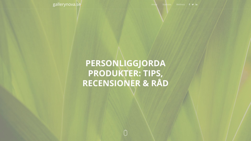 gallerynova.se