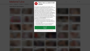 melonstube.com
