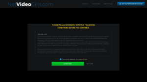 netvideogirls.com