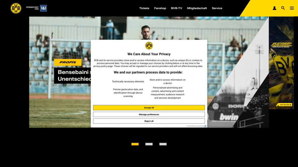 bvb.de