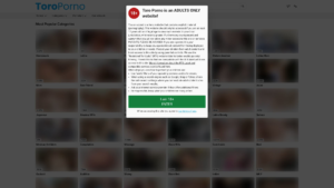 toroporno.com