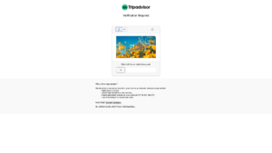 tripadvisor.com