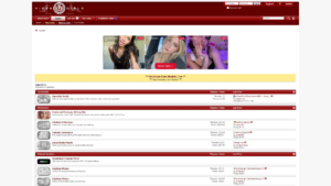 vipergirls.to