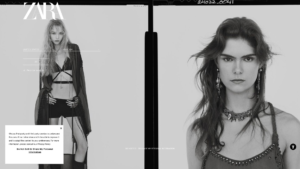 zara.com