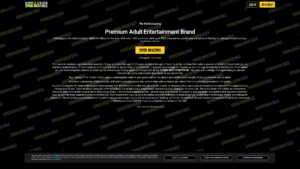 brazzersnetwork.com