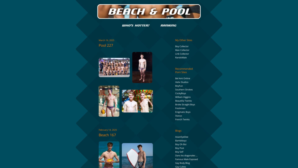 beachandpool.net