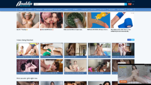 analdin.com