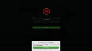 spielwiese.com
