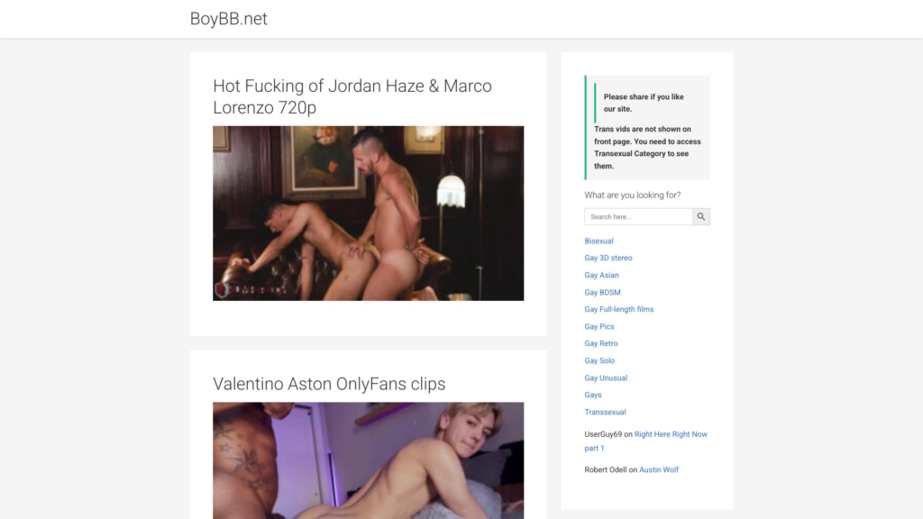 boybb.net